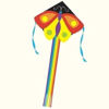 Kite
